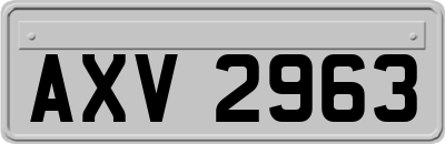 AXV2963