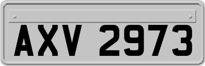 AXV2973