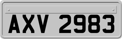 AXV2983