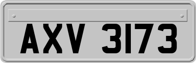AXV3173
