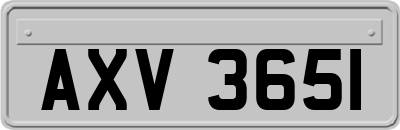 AXV3651