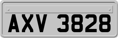 AXV3828