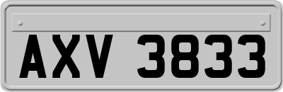 AXV3833