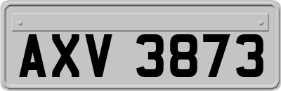 AXV3873