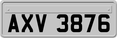 AXV3876