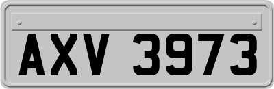 AXV3973