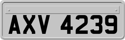 AXV4239