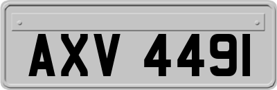 AXV4491