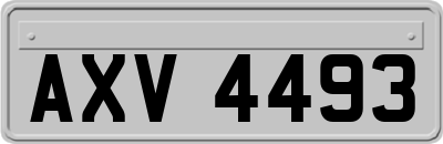 AXV4493