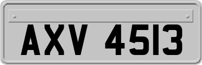 AXV4513