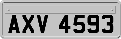 AXV4593