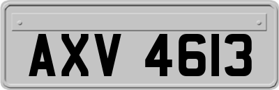 AXV4613