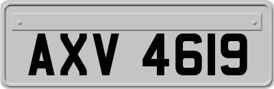 AXV4619
