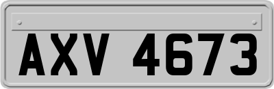 AXV4673