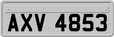 AXV4853