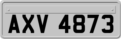 AXV4873