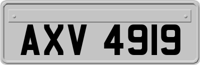AXV4919