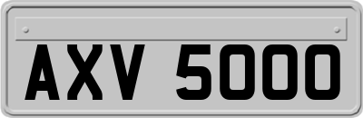 AXV5000