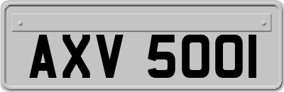 AXV5001