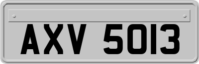 AXV5013