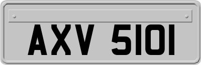 AXV5101