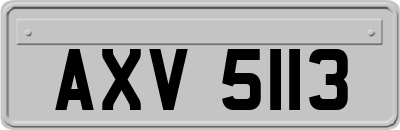 AXV5113