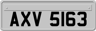 AXV5163
