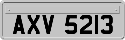 AXV5213