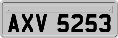 AXV5253