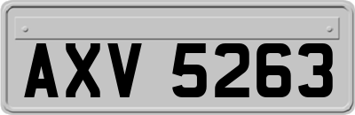 AXV5263