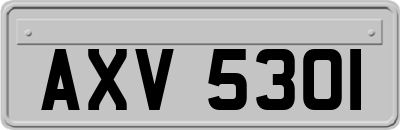 AXV5301