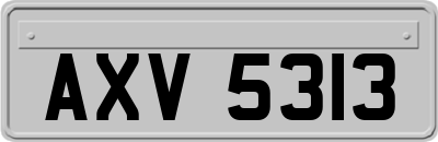 AXV5313