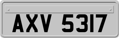 AXV5317
