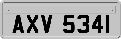 AXV5341