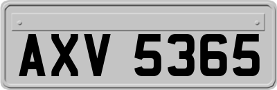 AXV5365