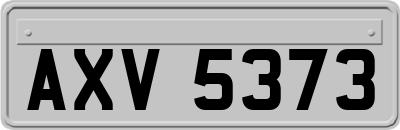 AXV5373
