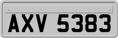 AXV5383