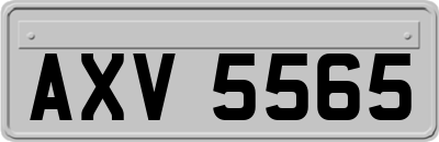 AXV5565