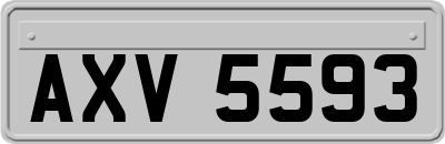AXV5593