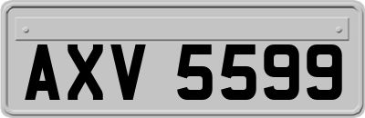 AXV5599