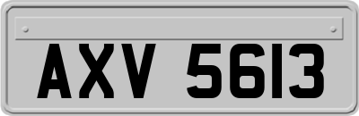 AXV5613