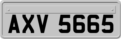 AXV5665