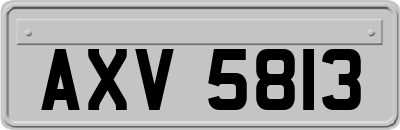 AXV5813