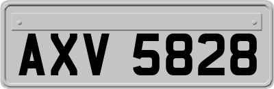 AXV5828