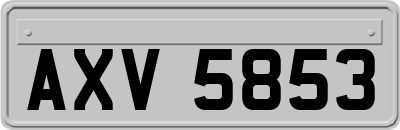 AXV5853