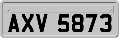 AXV5873
