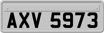 AXV5973