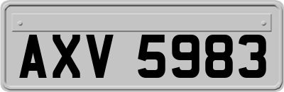 AXV5983