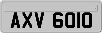AXV6010