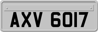 AXV6017